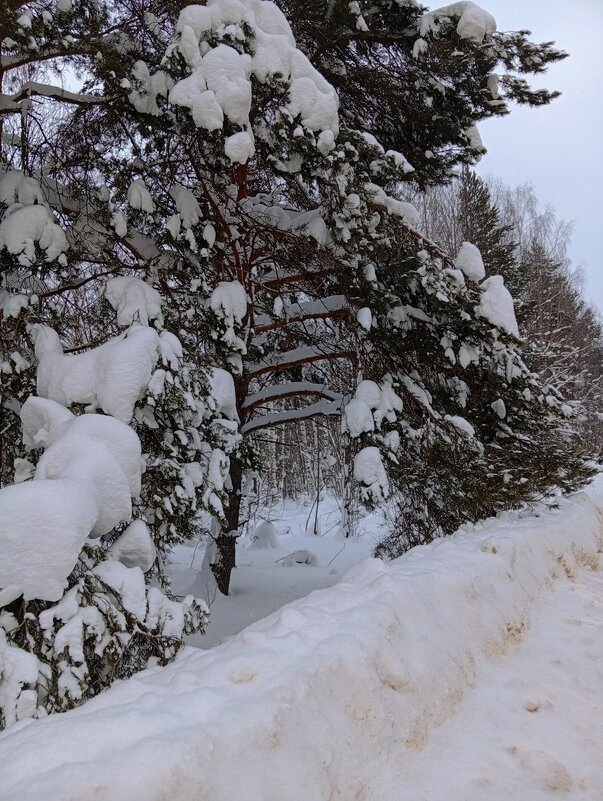 Природа - Светлана Мишенёва