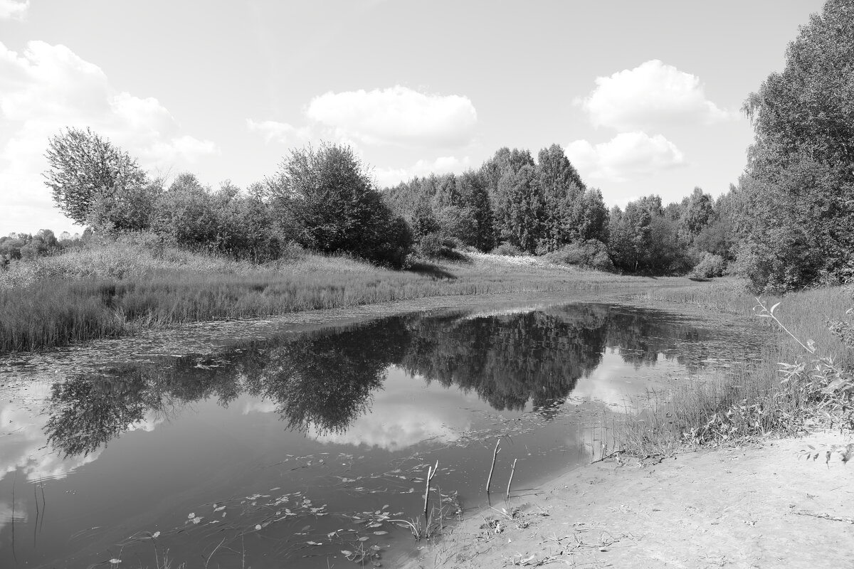 Фотография - Денис Безногов