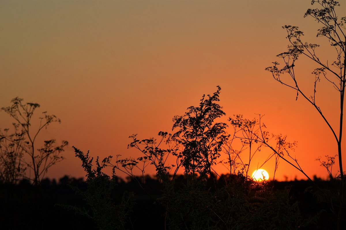 Рассвет - Надежда Куркина 