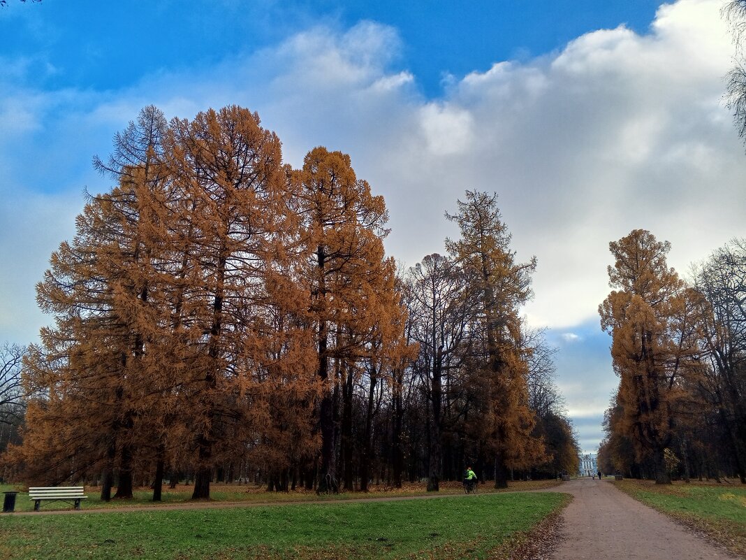 Осень - Сапсан 