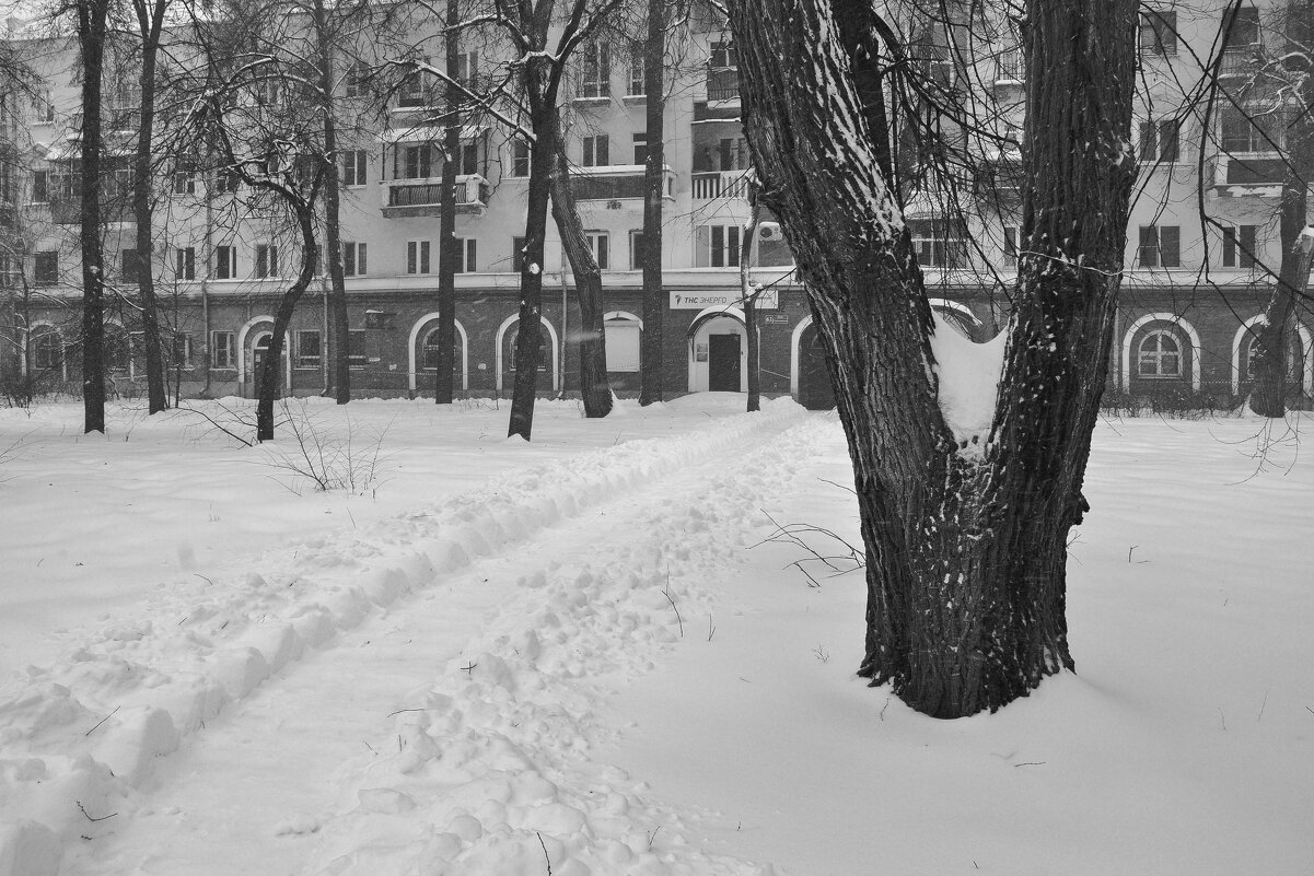 Зима, старый двор, снегопад - Татьяна Машошина