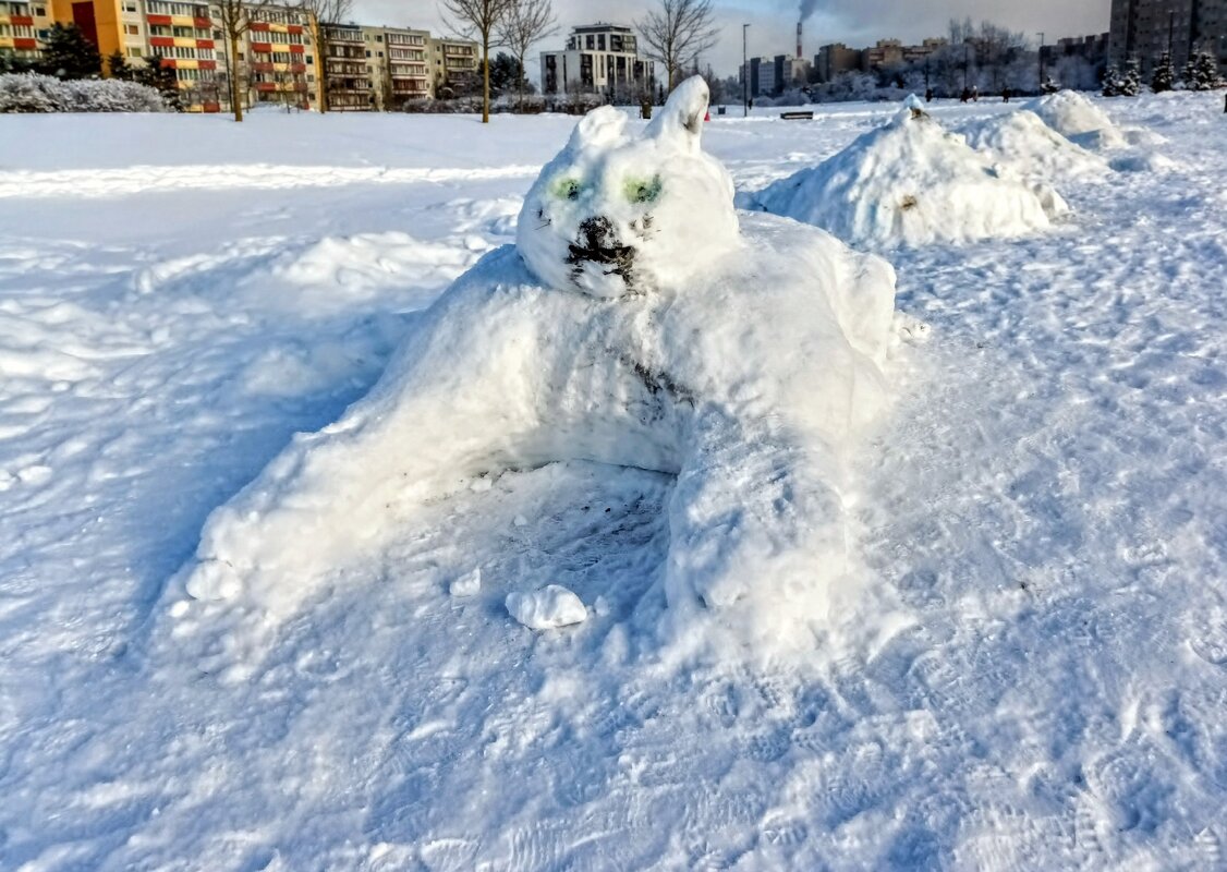 В парке Тондилоо - Veera V