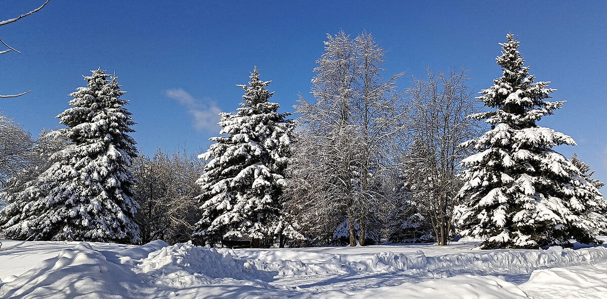 Февральский день - Игорь Сычёв