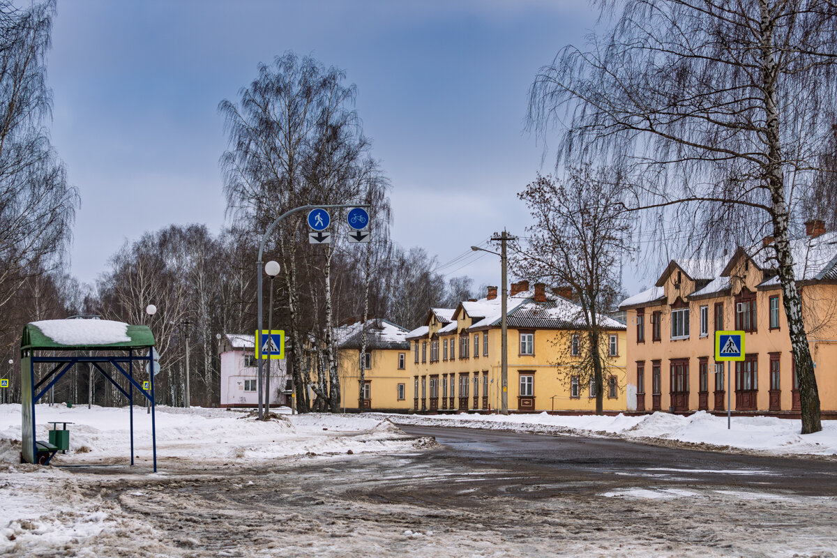 Можно и прогуляться, когда нет ветра и слабый мороз - Игорь Сикорский