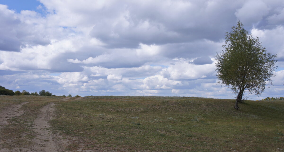 Дорога в облака. - сергей ермошкин