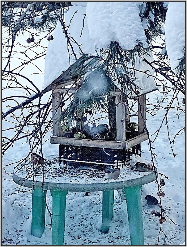 Зимняя кормушка для птиц - Ольга Довженко