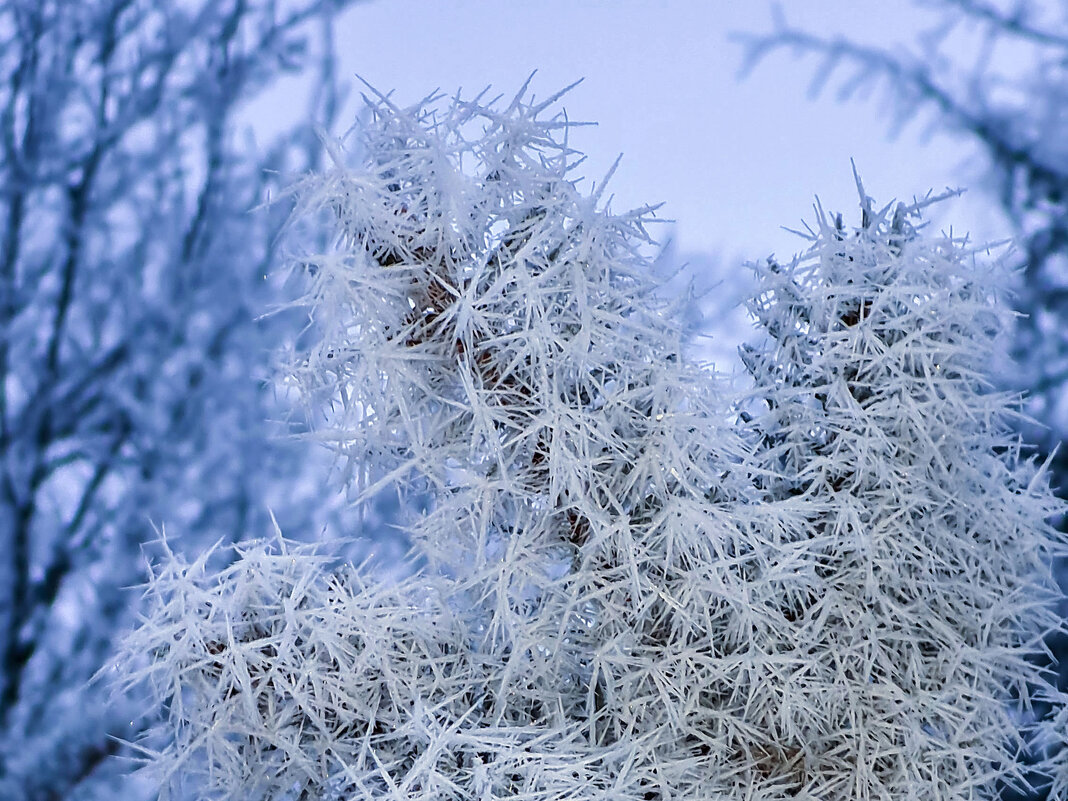 Иней - Валерий Ткаченко