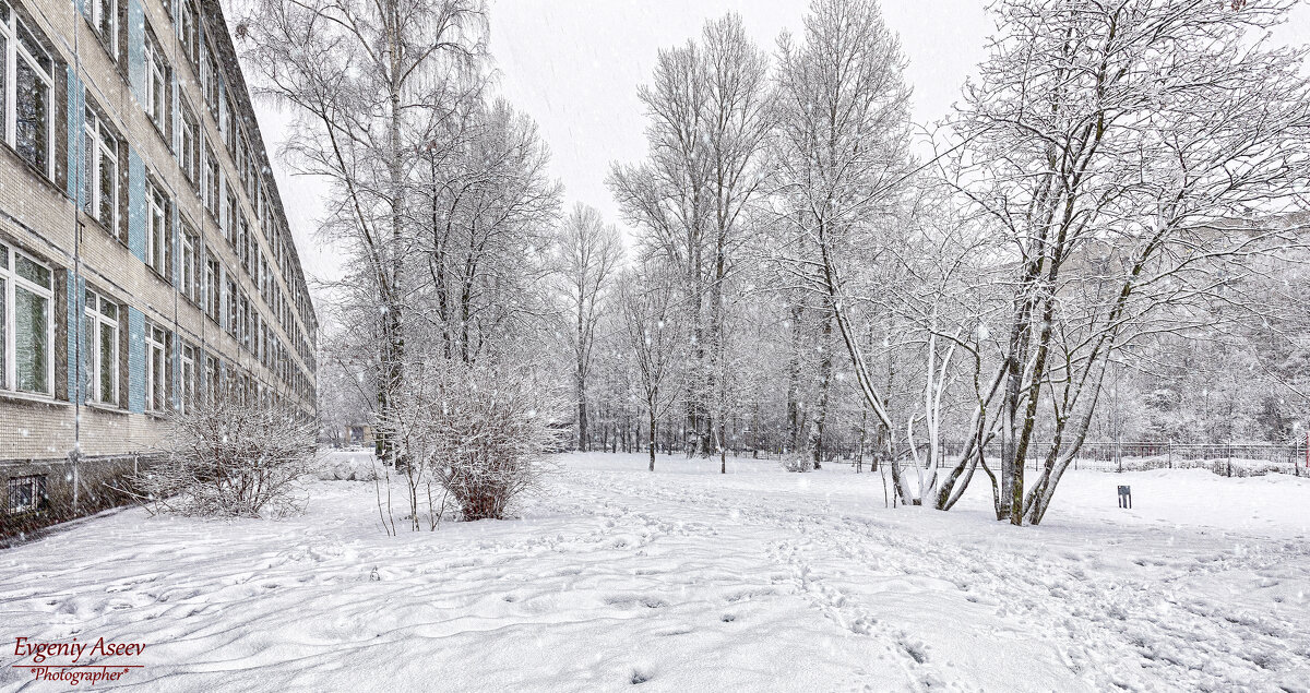 Замело - Евгений 