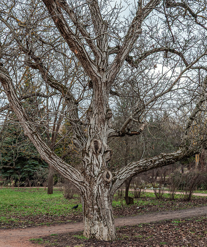 Во всей красе! - Варвара 