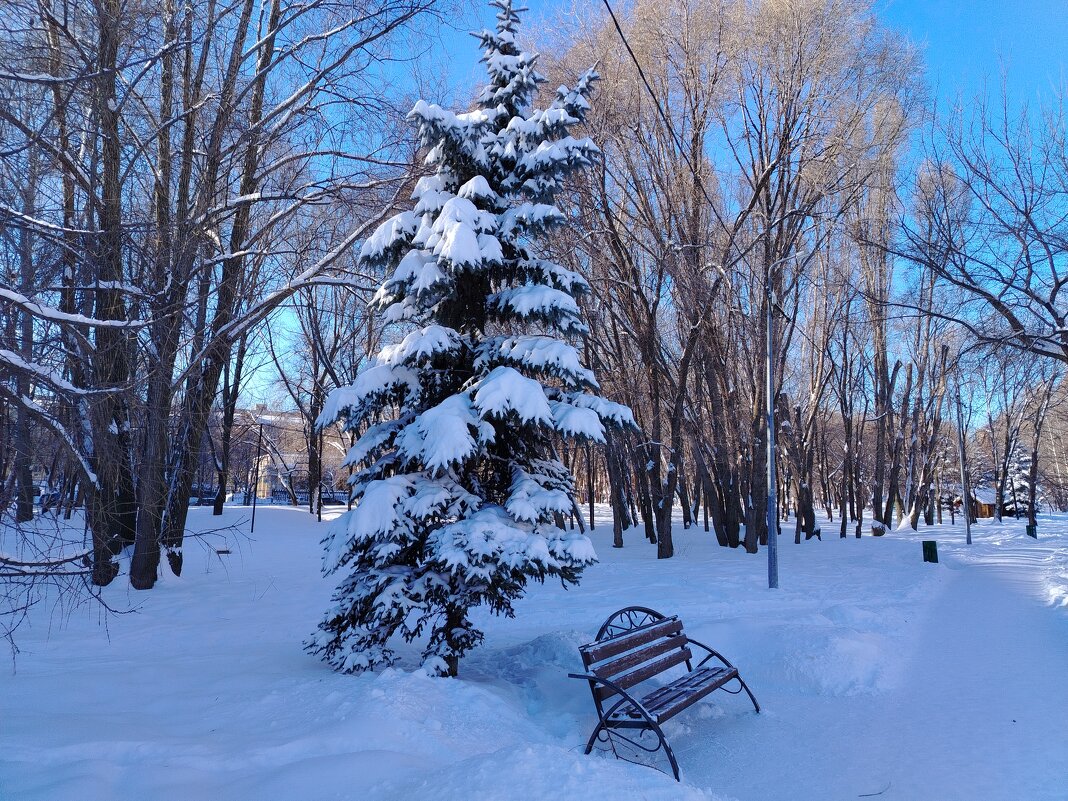 Зимний день - Надежда 