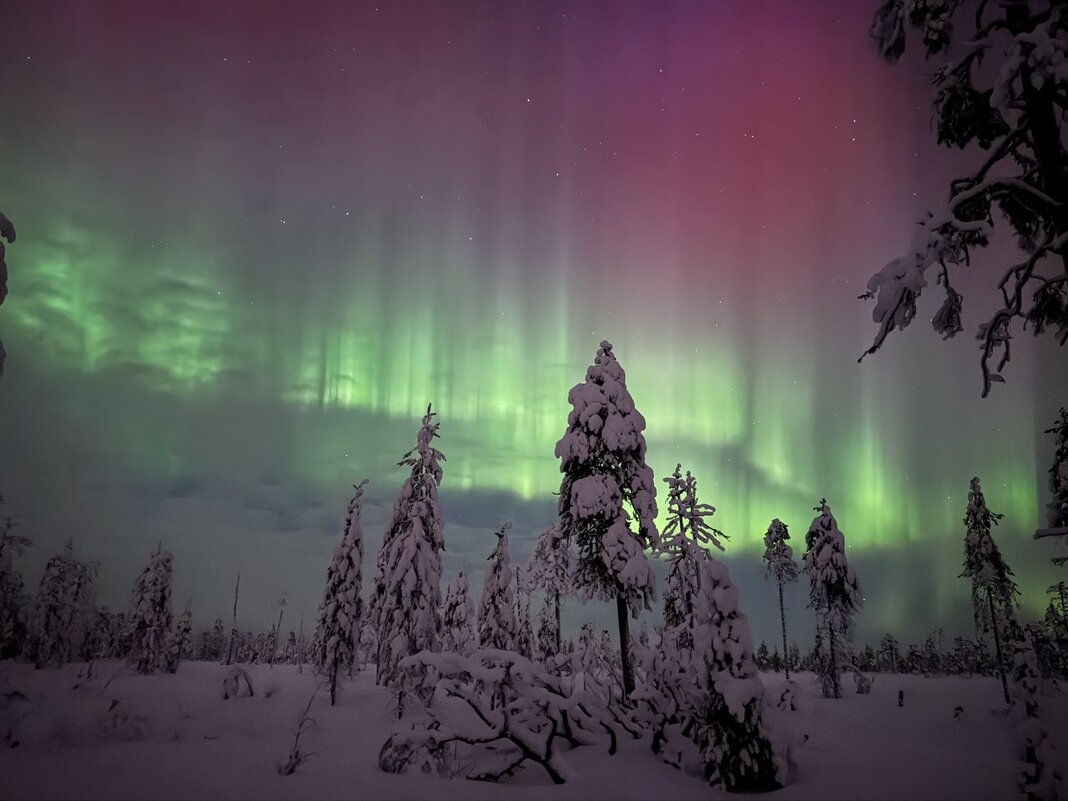 20 января. Вспышка. - tatiana 