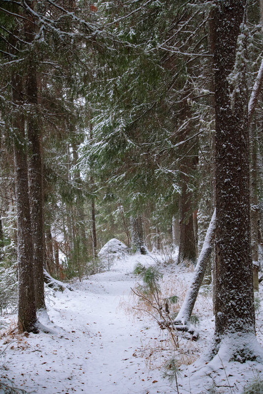 # - Михаил Славный