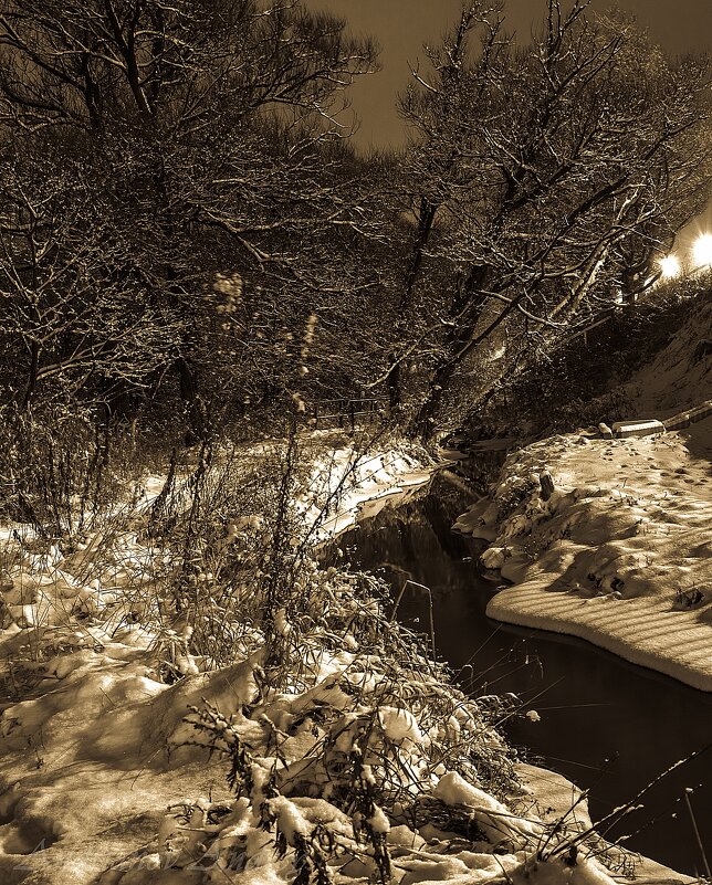 Зимняя речка. - Андрей Андрианов