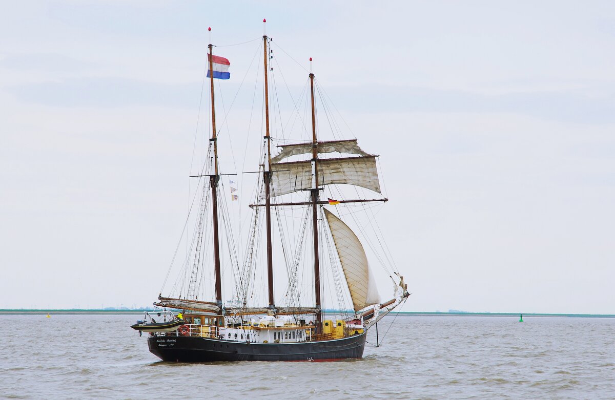 Домой, в родную гавань - В.И 