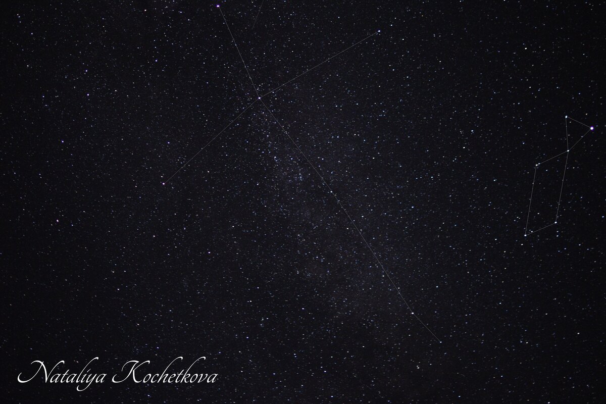 Природа Крыма - Amazing Cosmea