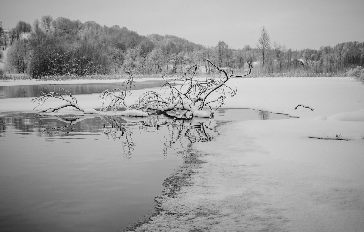 На водоеме - Олег Загорулько