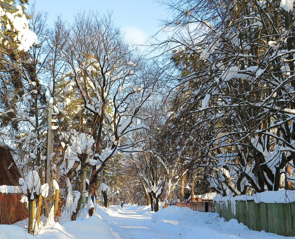 Дорога в зимней деревне - Андрей Снегерёв