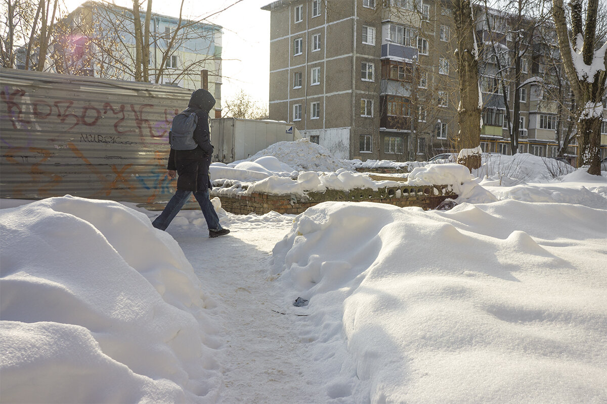 Шагающий - Владимир Носов
