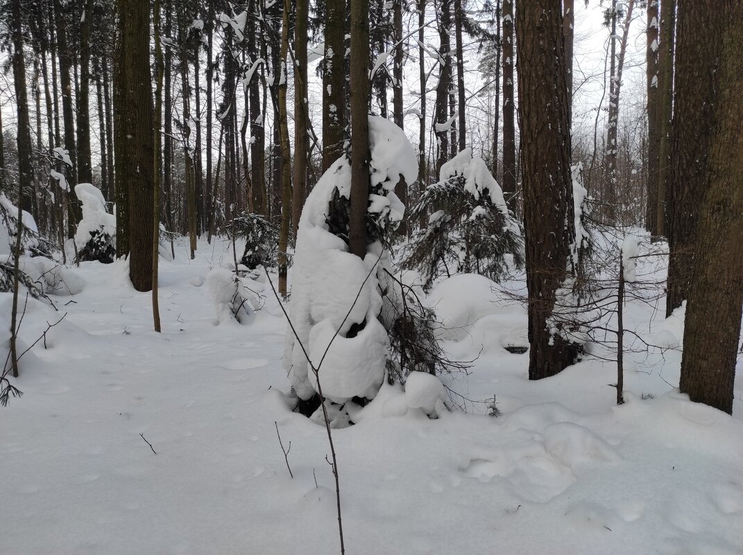 "Не дойду до дома..." - Игорь Ч.