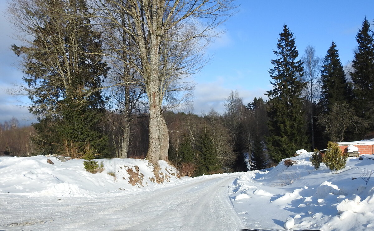зимние пейзажи - ИННА ПОРОХОВА