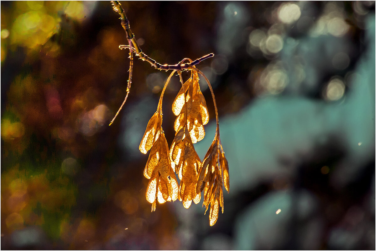 Скоро весна ! - Валентин Котляров