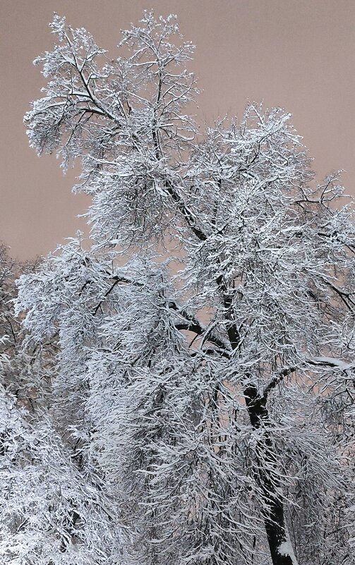 ...пока вот так... - Александр Герасенков