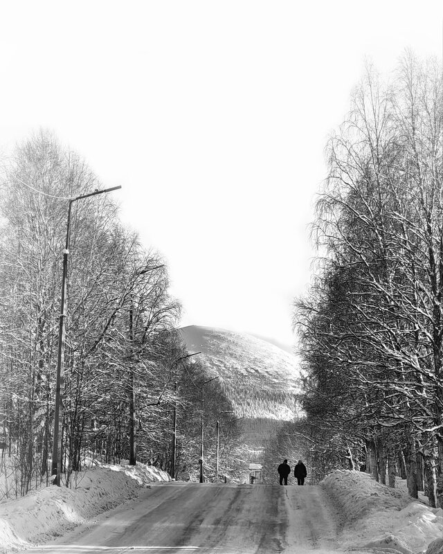 *** - Виталий Бенгард