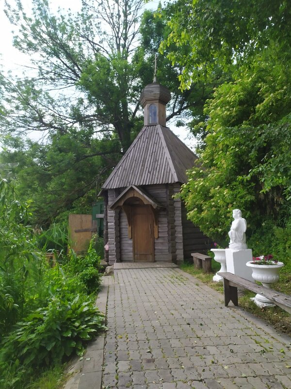 Дорога к купели - Елена Сухорученкова