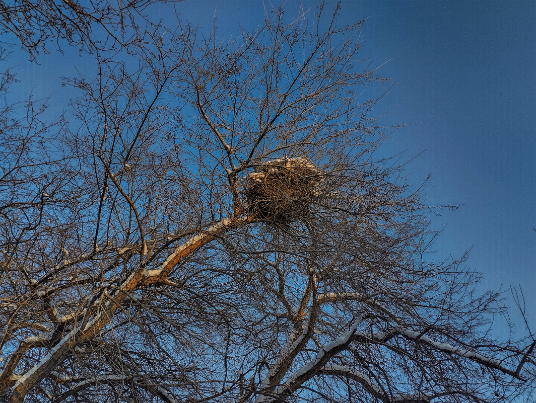 В ожидании новых жильцов - Дмитрий Костоусов
