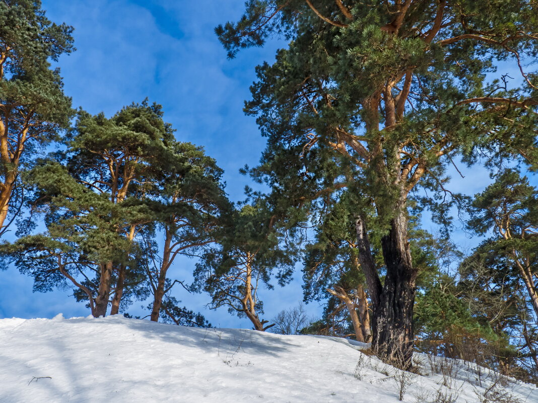 Февраль - Наталья Rosenwasser