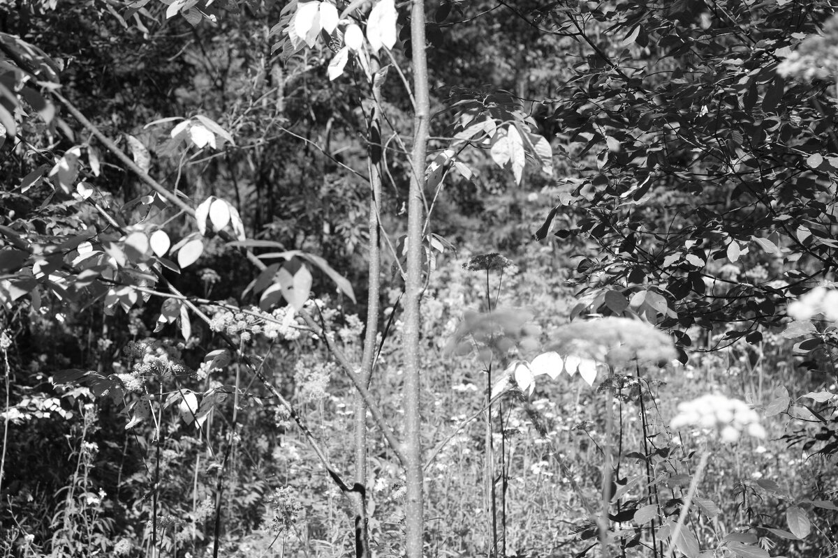 Фотография - Денис Безногов