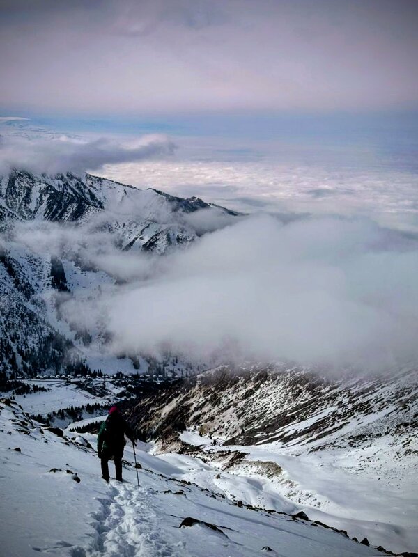 Туманы - Георгиевич 
