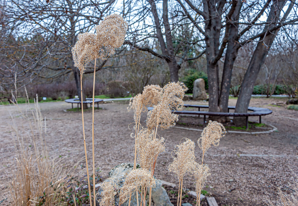 Мохнатки! - Варвара 