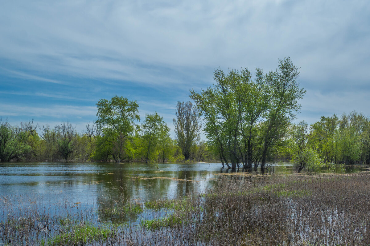 Половодье - Владимир Жуков