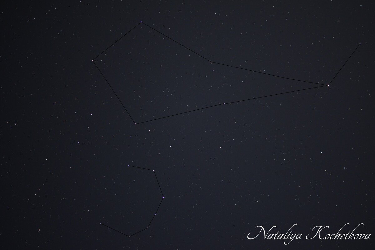 Природа Крыма - Amazing Cosmea