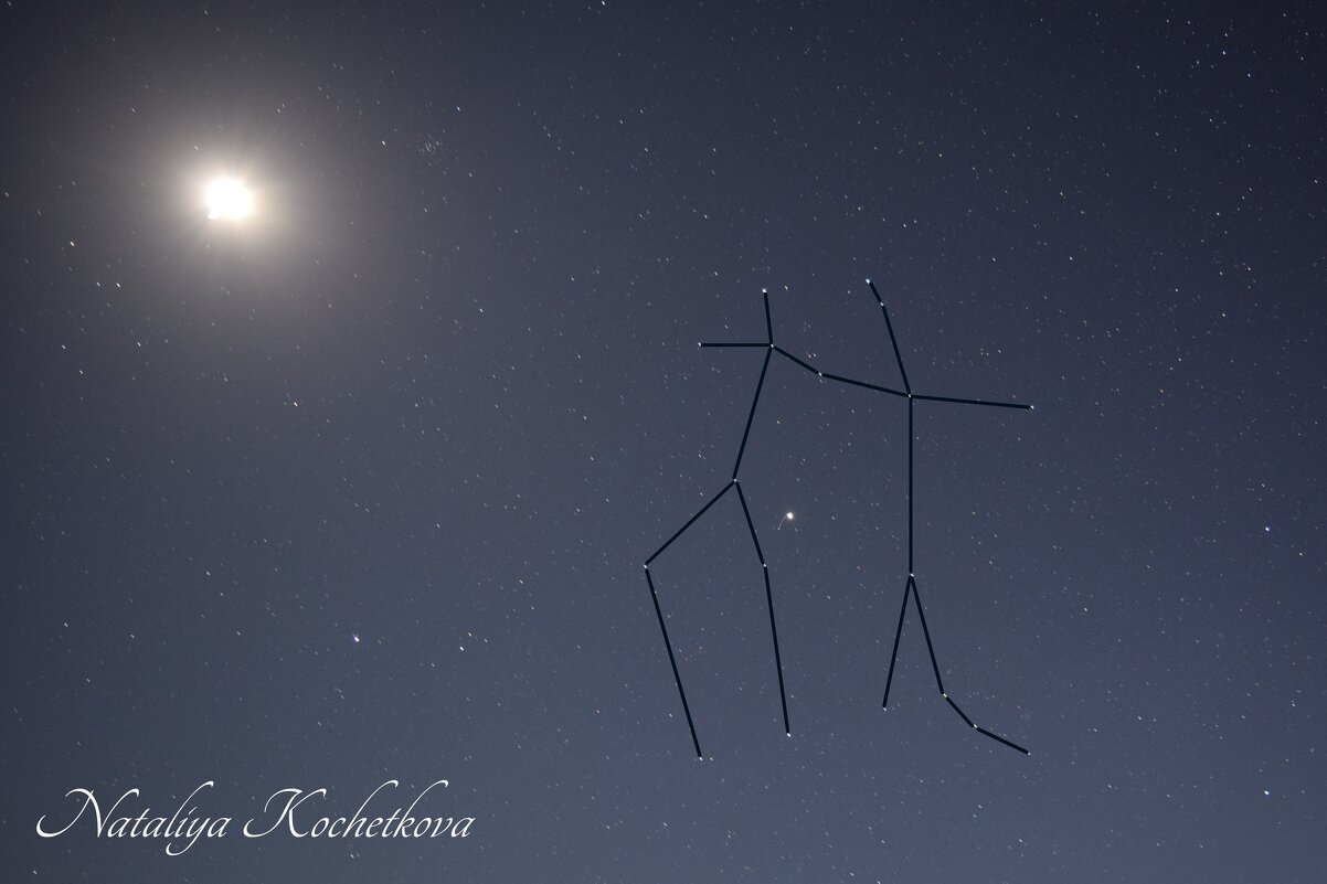 Природа Крыма - Amazing Cosmea