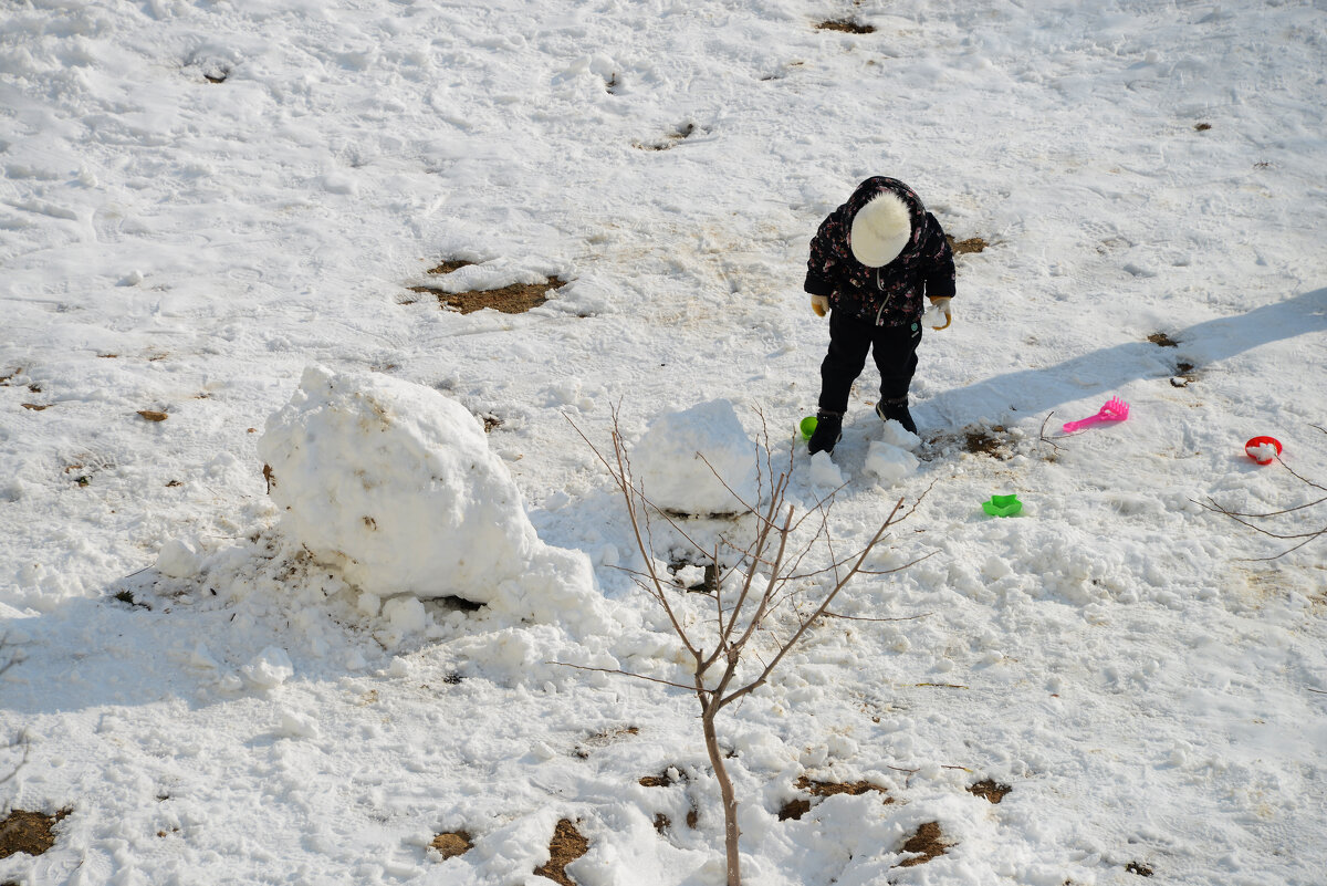 Снега мало, а работы ещё много - Анатолий Чикчирный