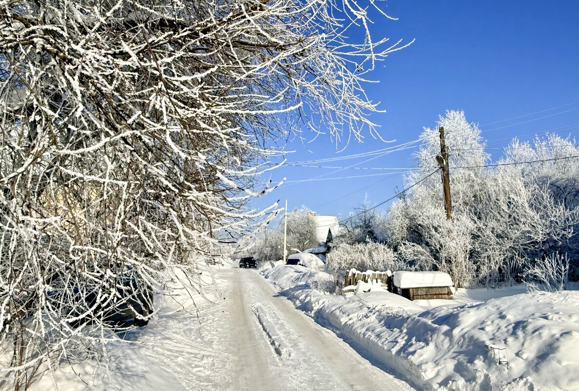 «Серебряная вуаль зимы» - Арина Невская