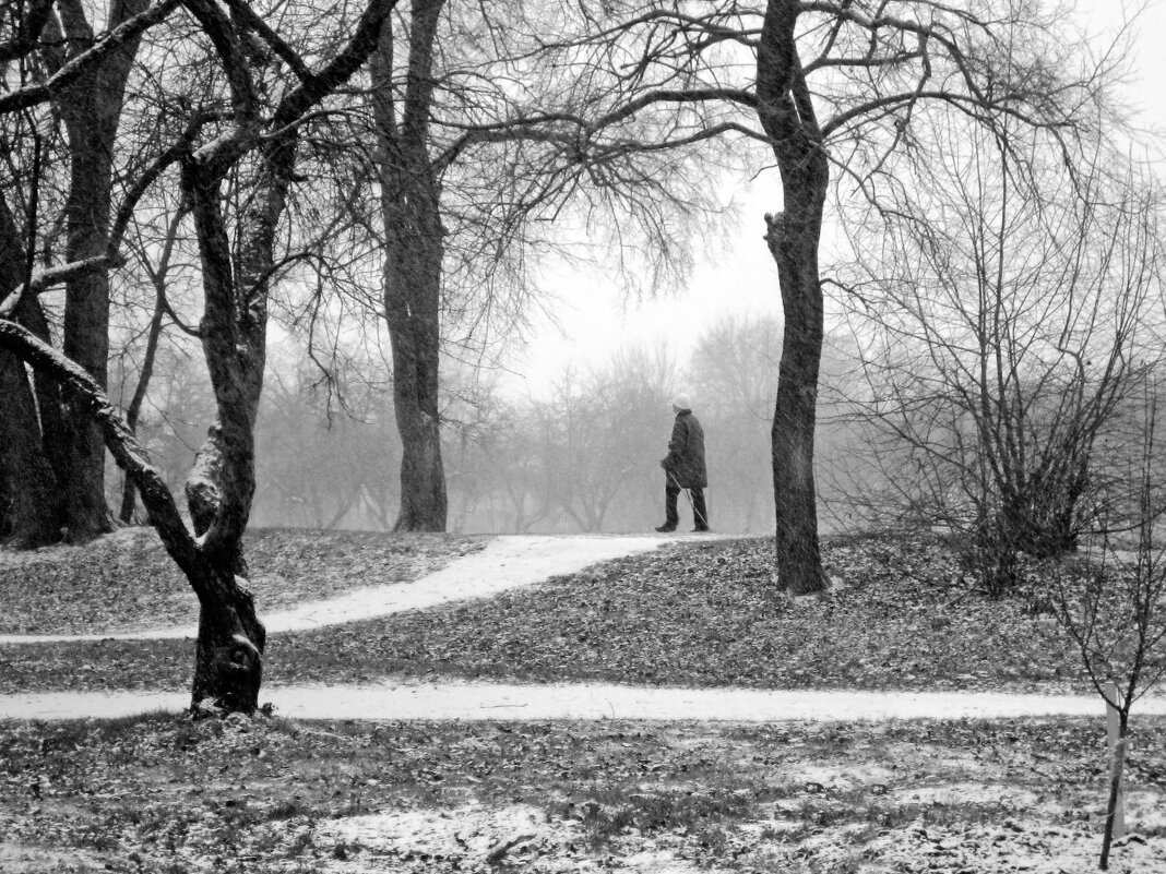 Первый снег. - Борис Бутцев