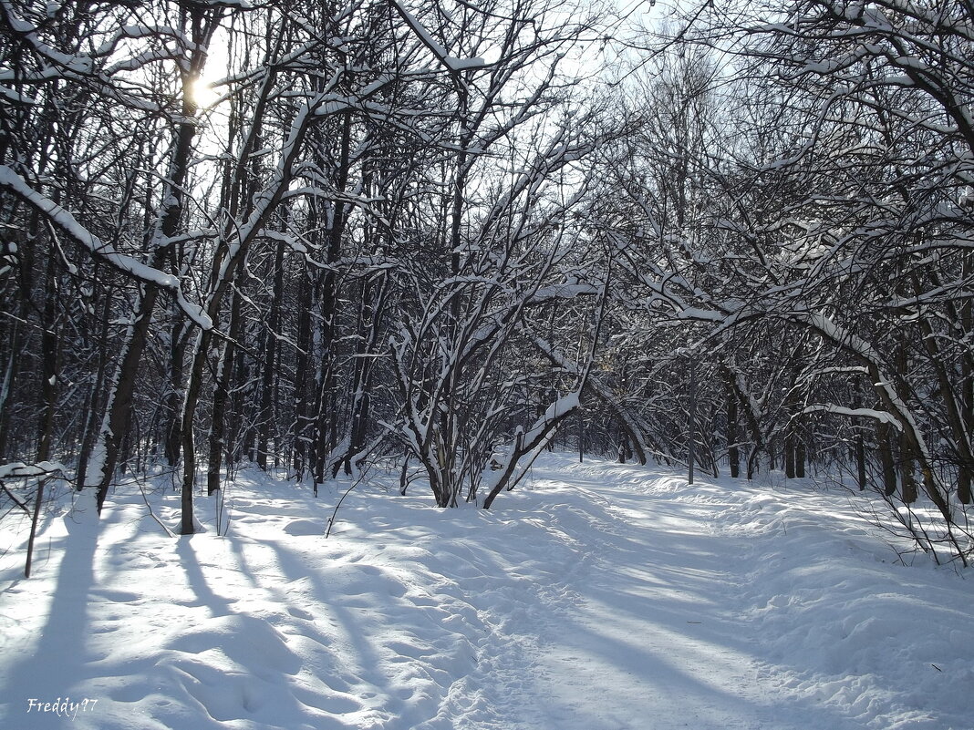 Февраль, хоть зима, но её он финал... - Freddy 97