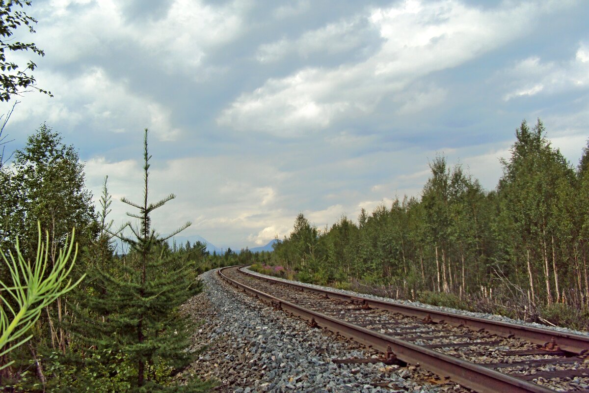 Дорога на Харп. Ямал - Tata Wolf