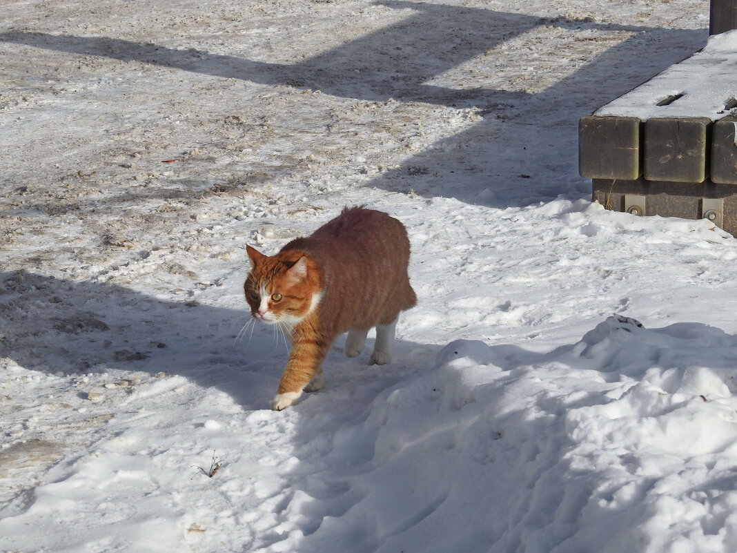 добытчик - ИННА ПОРОХОВА