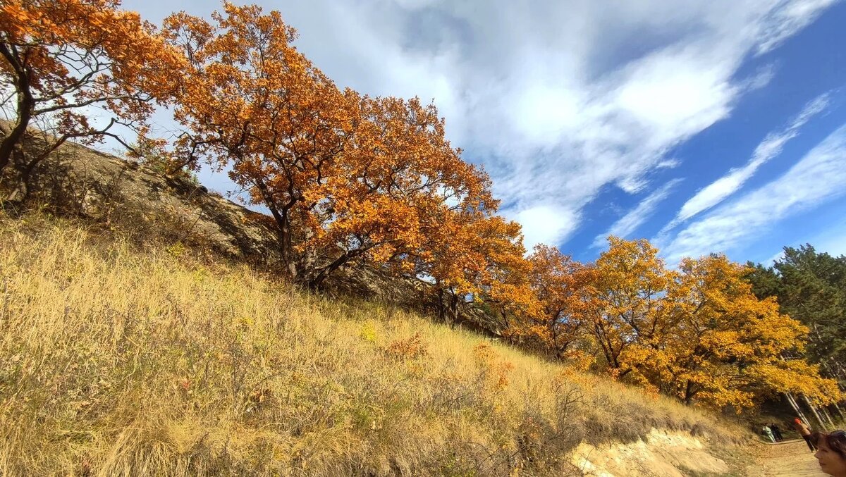 Осень в горах - Мариша Осень в горах - Мариша
