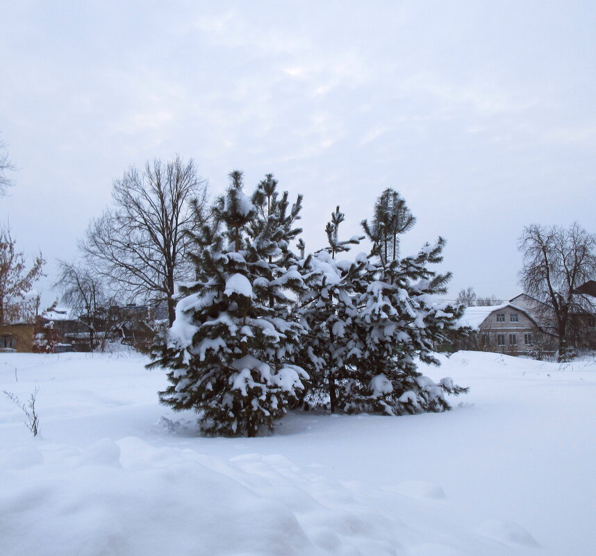 Зимний пейзаж - Наталья ***