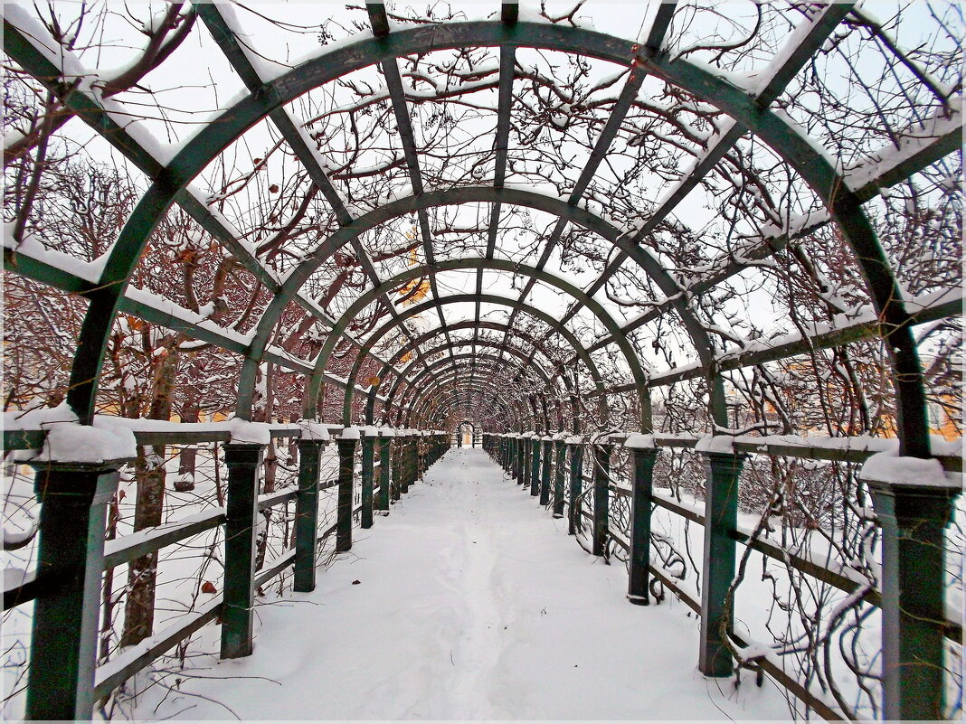 Пергола - VasiLina *