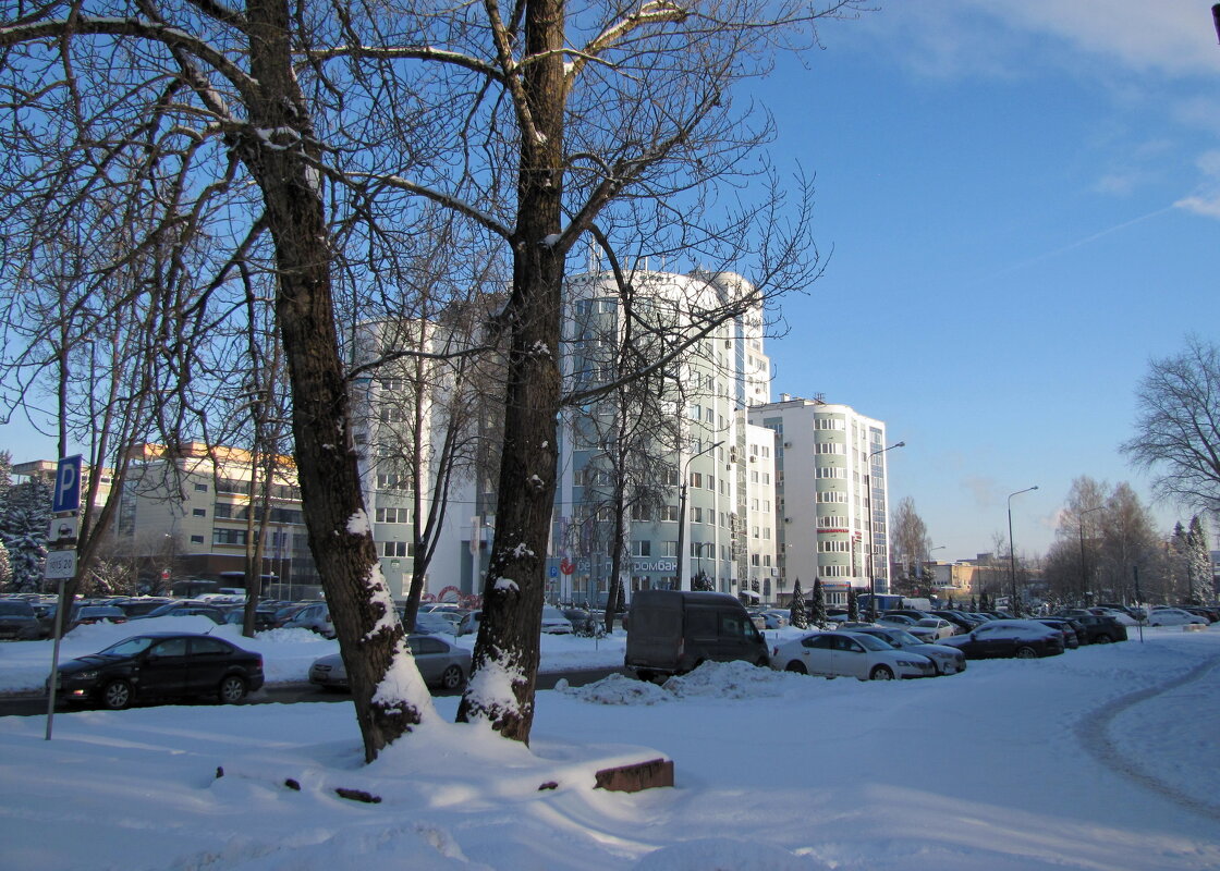 А зима будет большая... - Татьяна Гнездилова