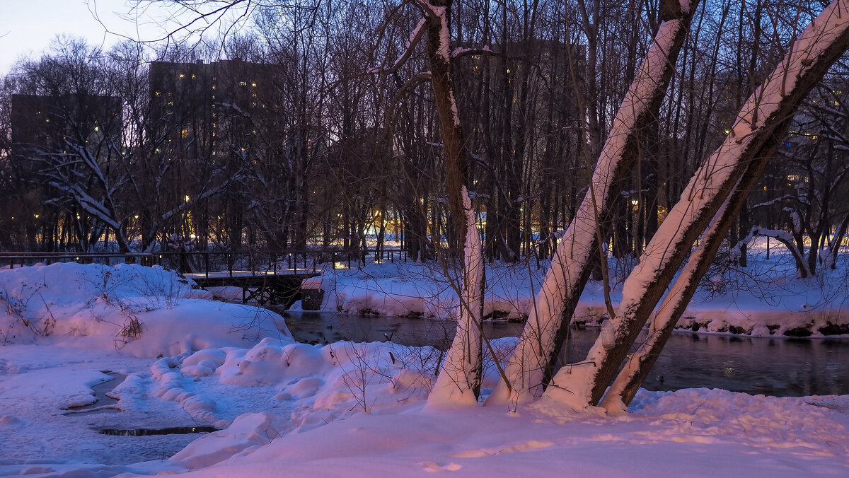 Зимний Вечер - юрий поляков