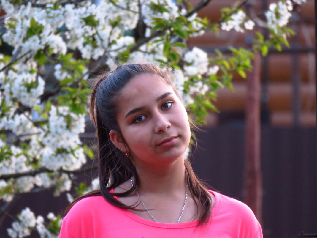 Алена - Николай Я