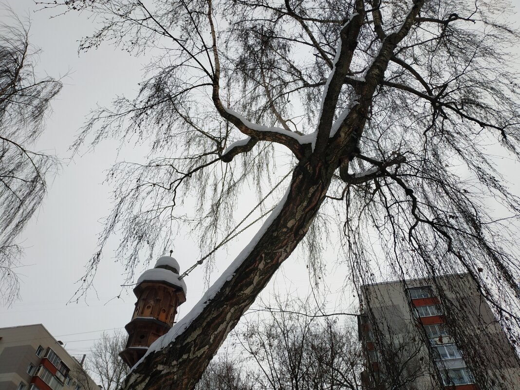 Самый удивительный скворечник - Андрей Лукьянов