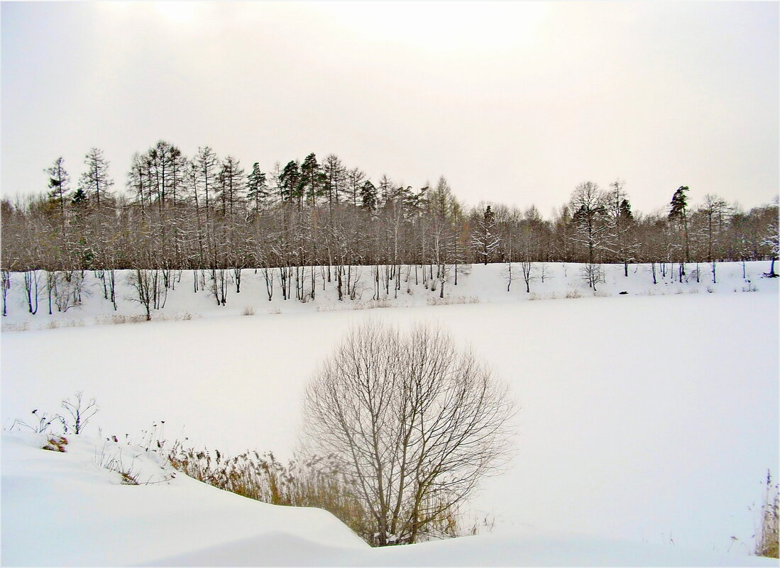 Зимний март. - Лия ☼